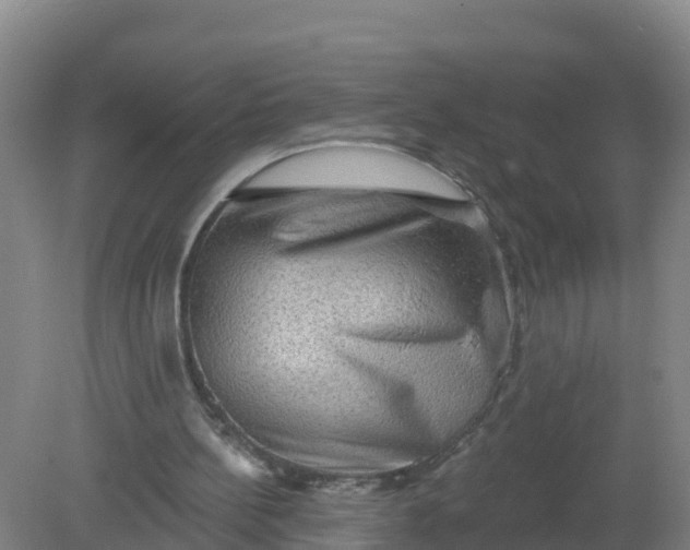 X0000079580148200612152115