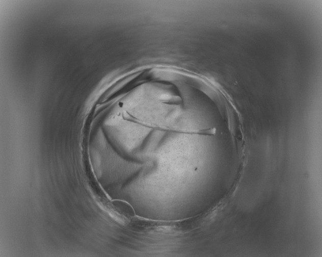 X0000079580151200612152115