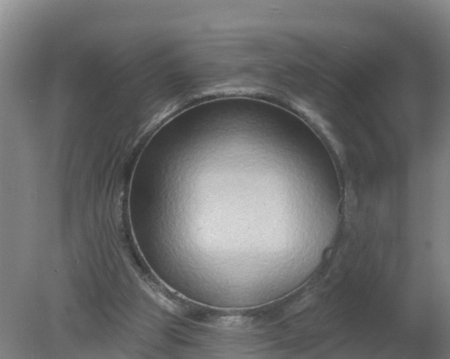 X0000079580153200612152115