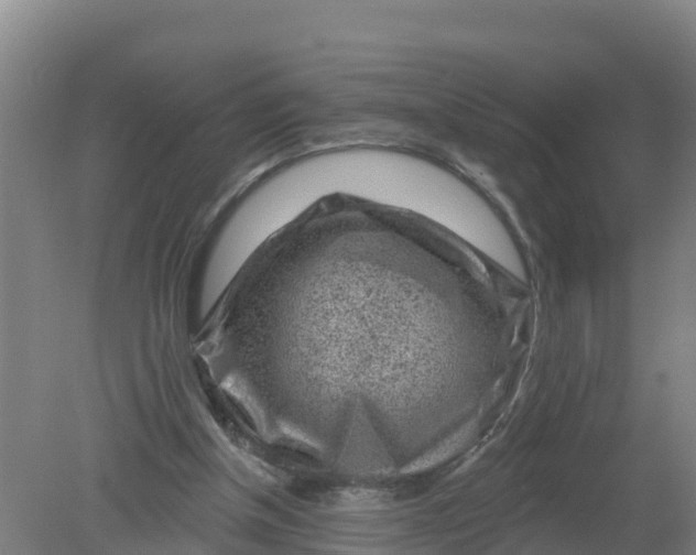 X0000079580154200612152115