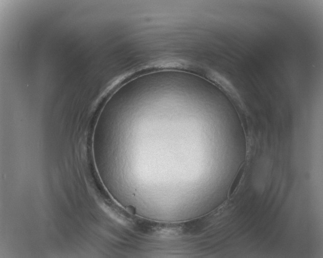 X0000079580155200612152115