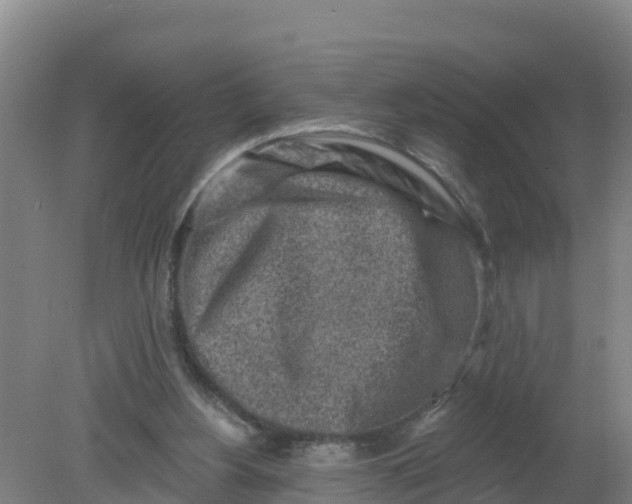 X0000079580156200612152115