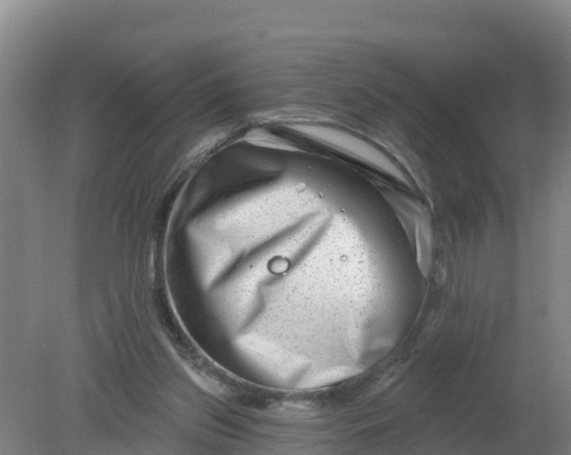 X0000079580157200612152115