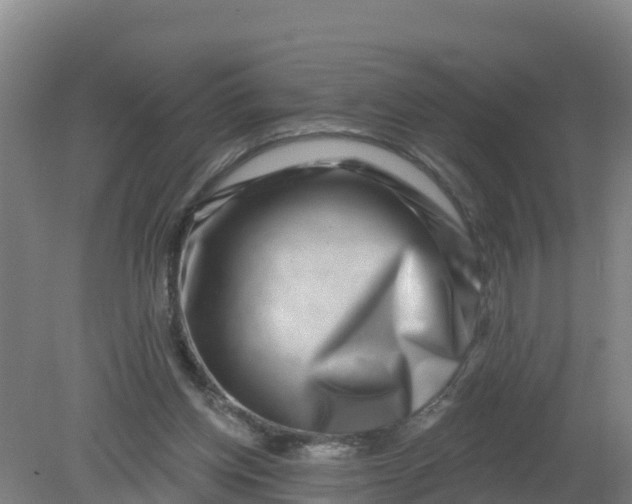 X0000079580158200612152115