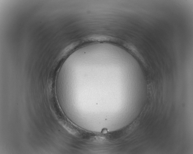 X0000079580159200612152115