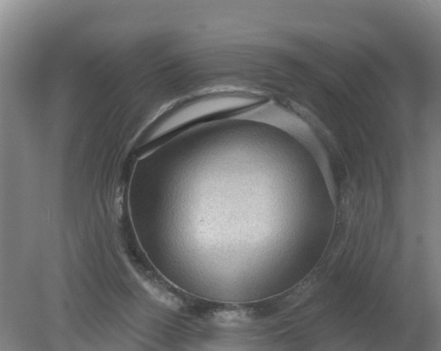 X0000079580160200612152115