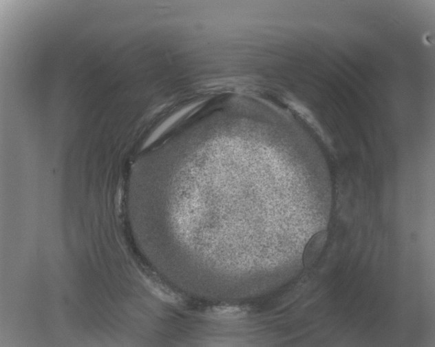 X0000079580161200612152115