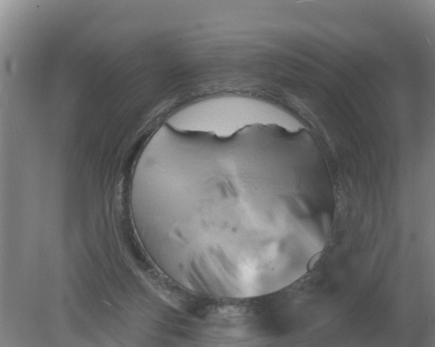 X0000079580163200612152115