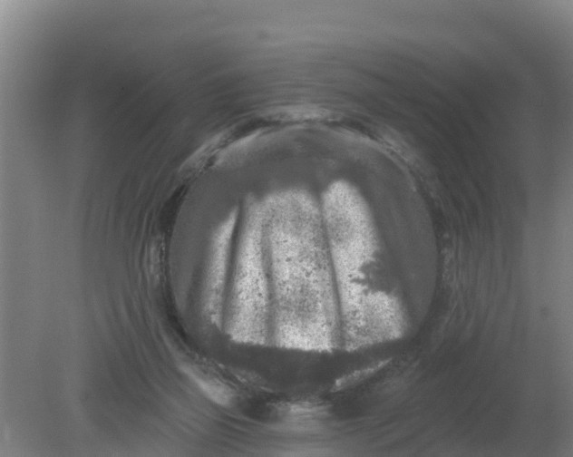 X0000079580165200612152115