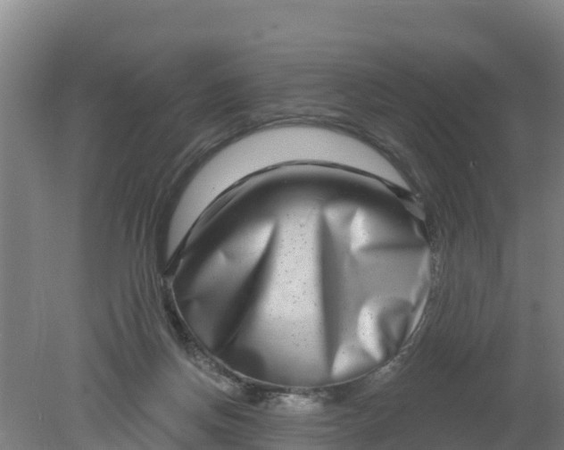 X0000079580166200612152115