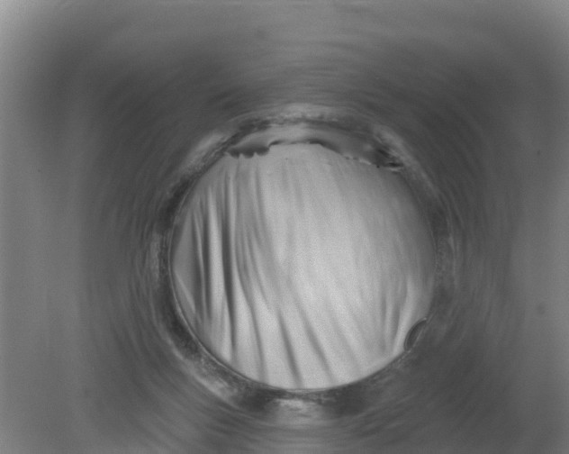 X0000079580167200612152115