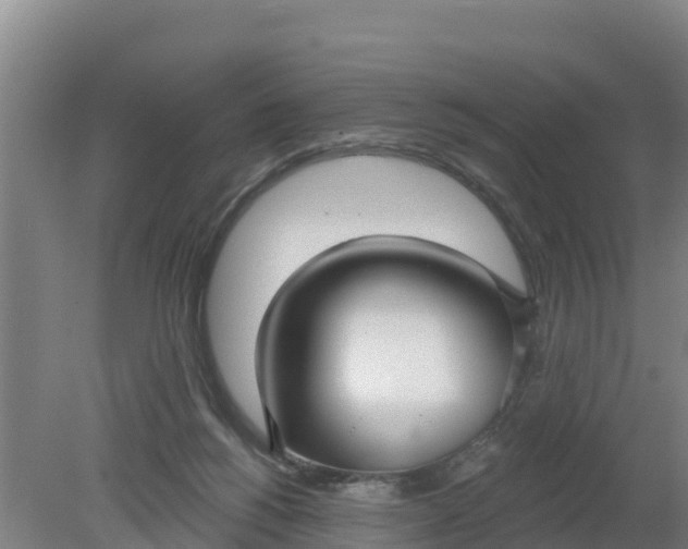 X0000079580168200612152115