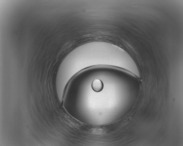 X0000079580169200612152115