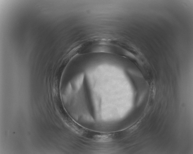 X0000079580170200612152115