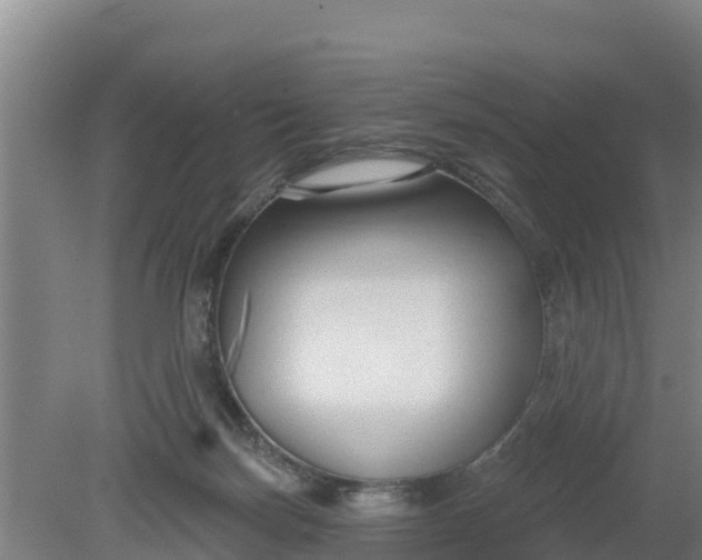 X0000079580171200612152115