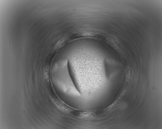 X0000079580175200612152115