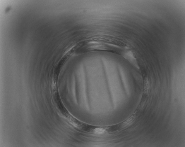 X0000079580176200612152115