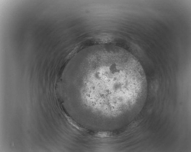 X0000079580177200612152115