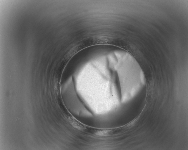 X0000079580178200612152115