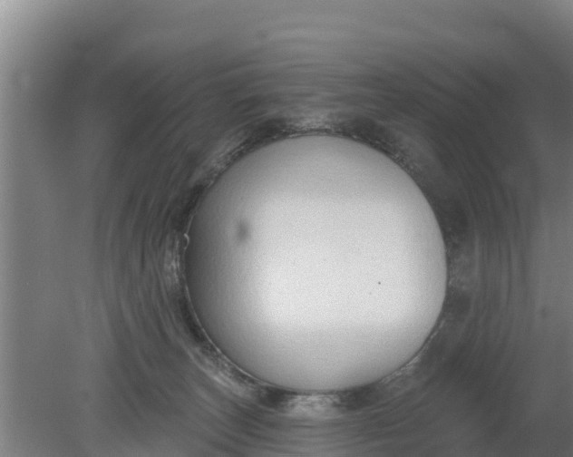 X0000079580179200612152115