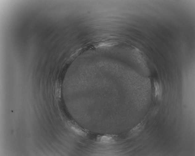 X0000079580180200612152115