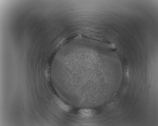 X0000079580181200612152115