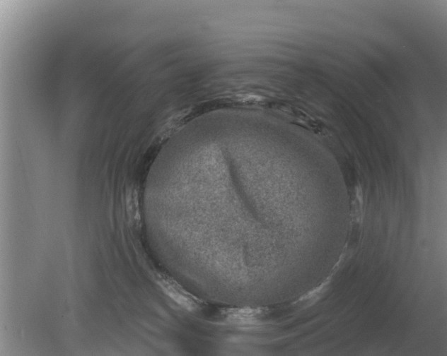 X0000079580182200612152115