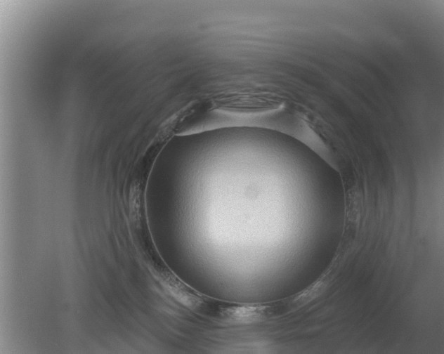 X0000079580184200612152115