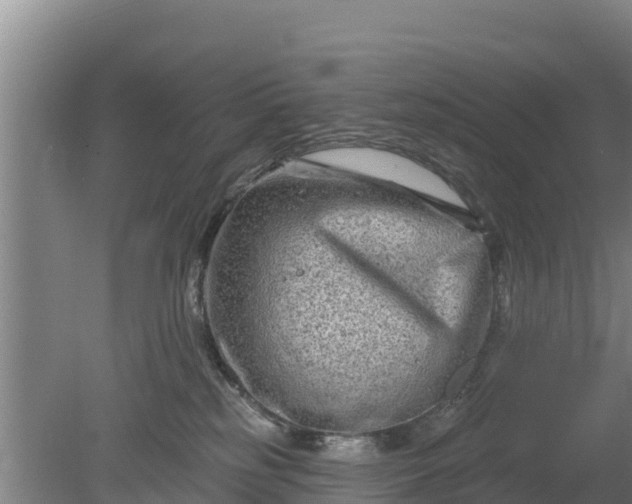 X0000079580185200612152115