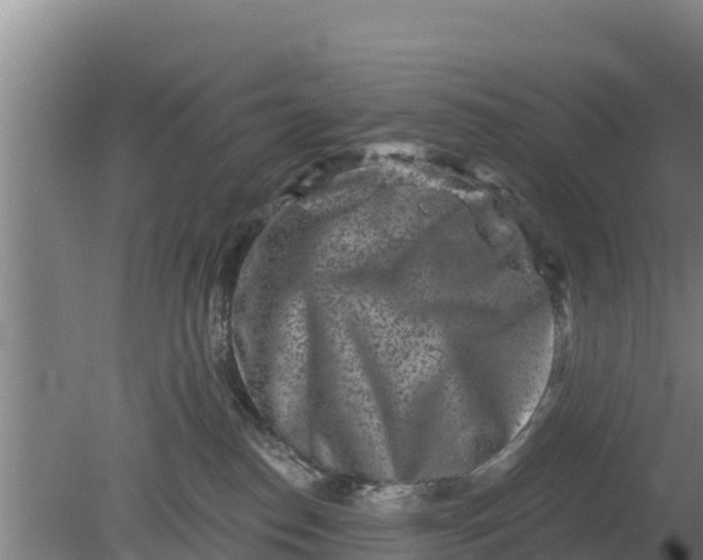 X0000079580186200612152115