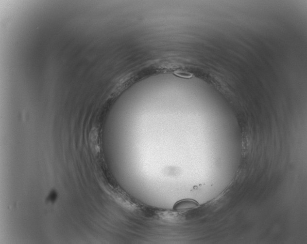 X0000079580187200612152115