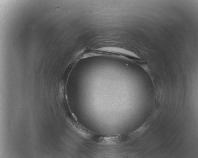 X0000079580188200612152115