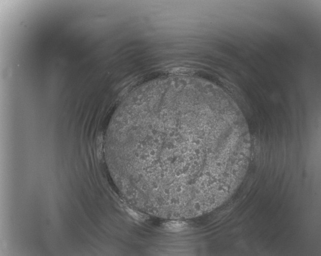 X0000079580189200612152115