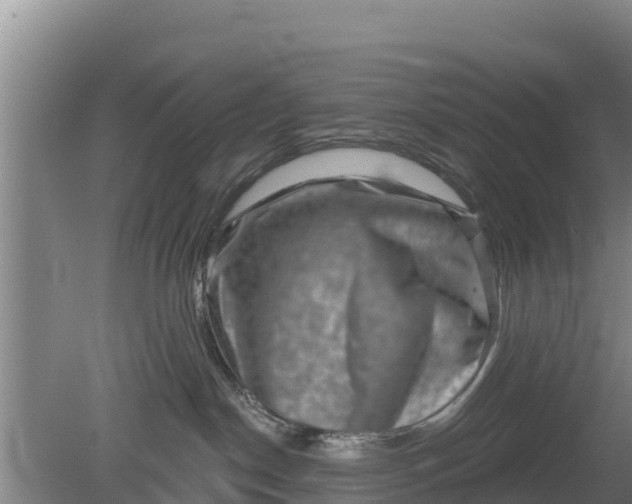 X0000079580190200612152115