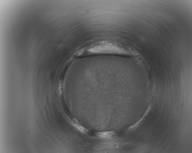 X0000079580191200612152115