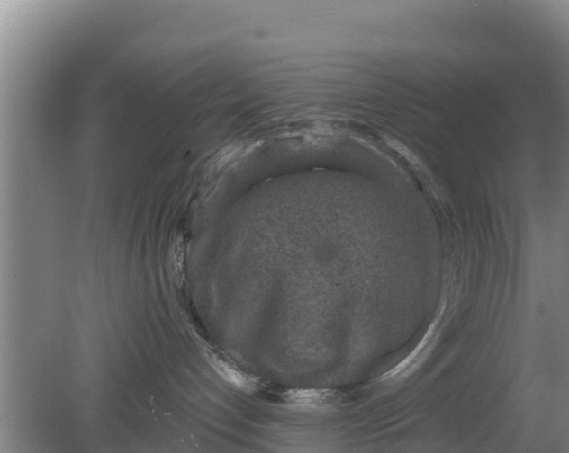 X0000079580192200612152115