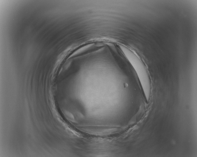 X0000079580193200612152115