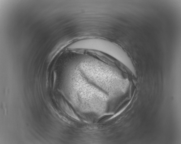 X0000079580194200612152115