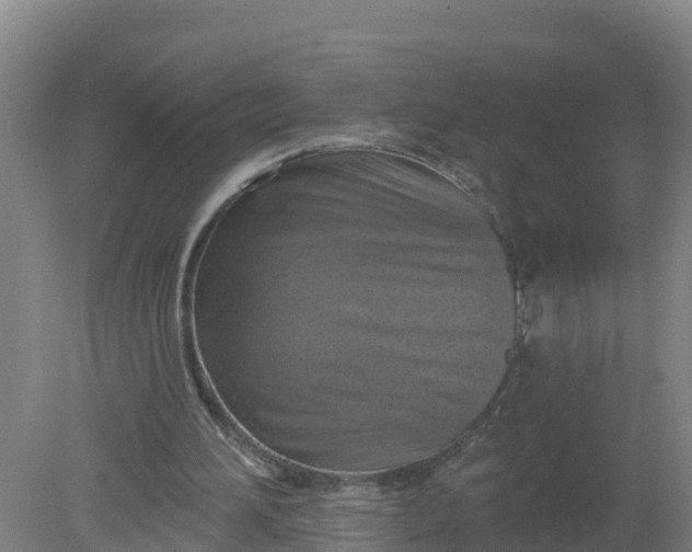 X0000079580196200612152115