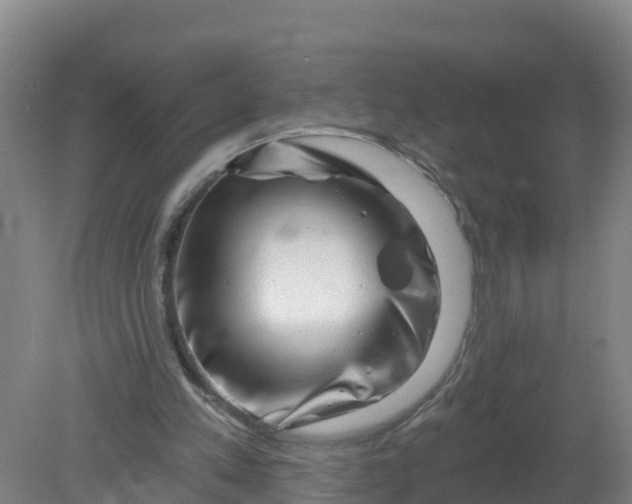 X0000079580197200612152115