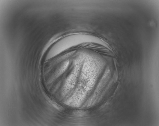 X0000079580198200612152114