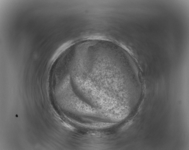 X0000079580199200612152114