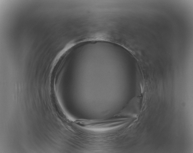 X0000079580200200612152114