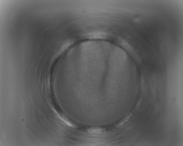 X0000079580202200612152114