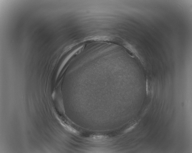 X0000079580205200612152114