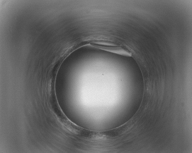 X0000079580206200612152114