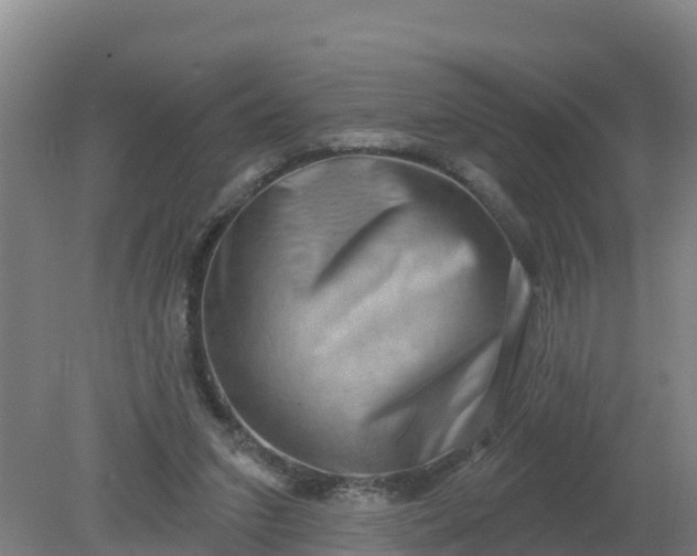 X0000079580207200612152114