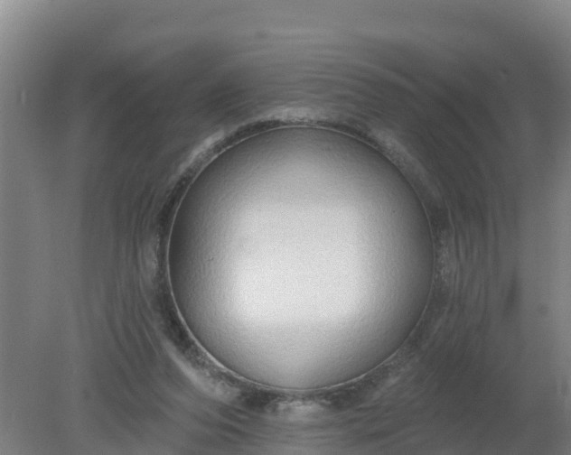 X0000079580208200612152114