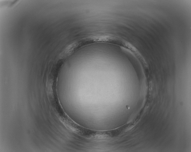 X0000079580209200612152114