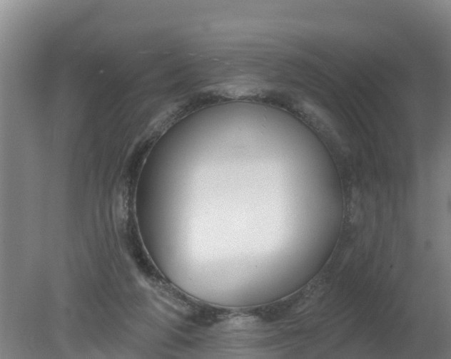 X0000079580210200612152114